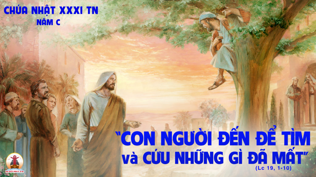 CÁC BÀI SUY NIỆM LỜI CHÚA CHÚA NHẬT XXXI THƯỜNG NIÊN NĂM C Giáo